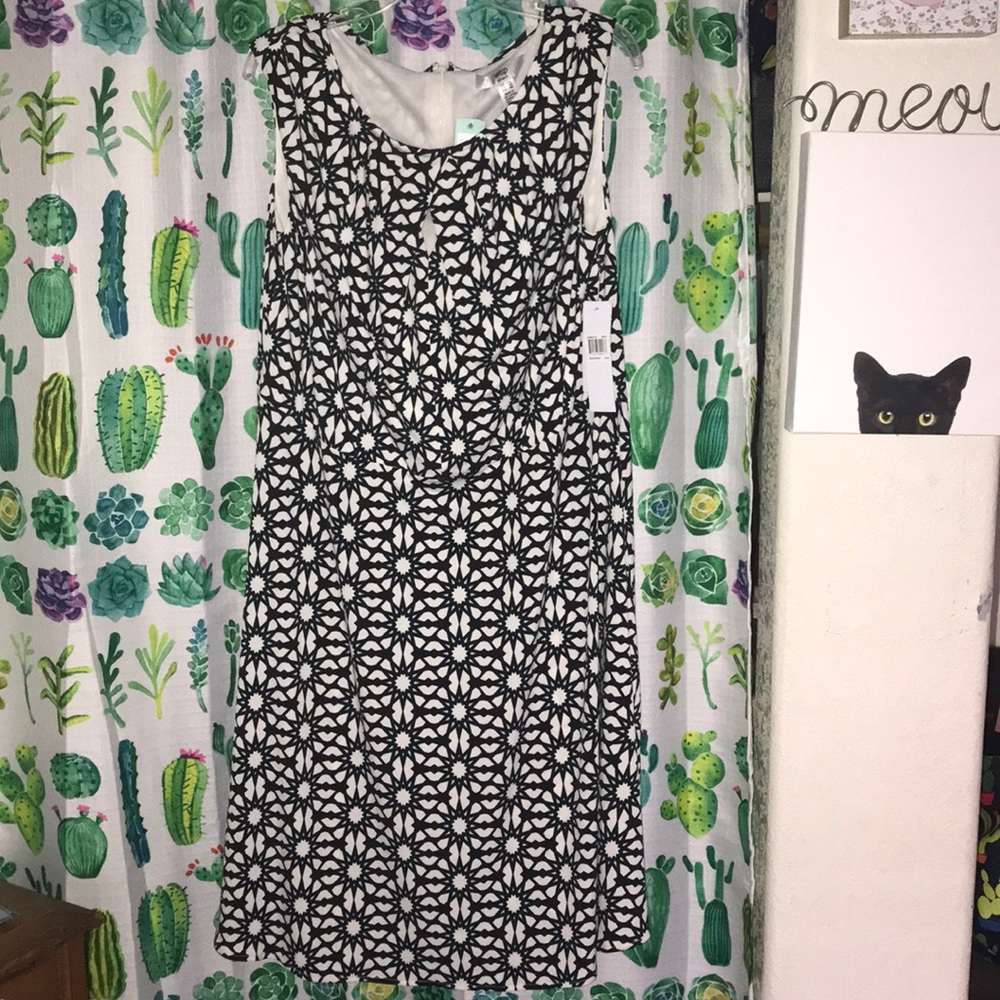 1X Fortune and Ivy Jersey Dress